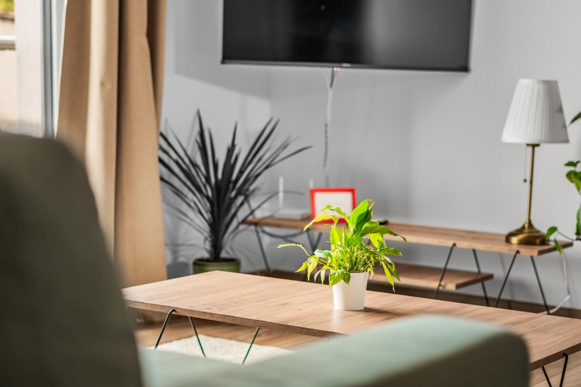 Apartman Anna Nové Město nad Metují المظهر الخارجي الصورة